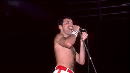 GALA VIDEO - Mort de Freddie Mercury : ses derniers secrets emportés dans sa tombe
