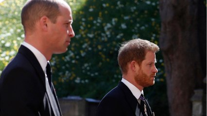 GALA VIDEO - « 5 mètres entre Harry et William " : des retrouvailles mais à bonne distance.