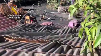 Buscan a los dueños de un gato encontrado muy cerca de la lava en Palma