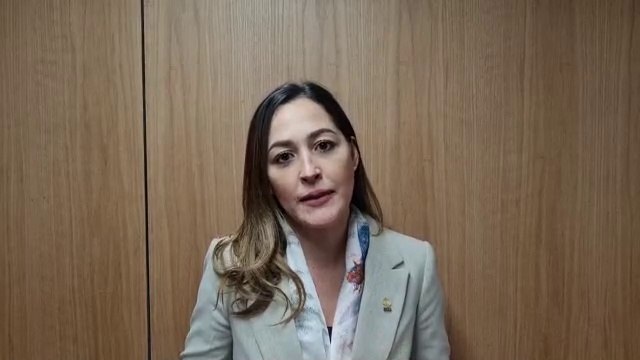 ext-diputados-limitan-a-una-unica-vez-reeleccion-continua-de-alcaldes-151221