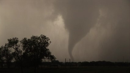 National Network of Humane Societies, Nonprofits Work to Rescue Pets from Tornado Destruct