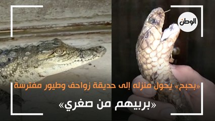 «بحبح» يحول منزله إلى حديقة زواحف وطيور مفترسة: «بربيهم من صغري»