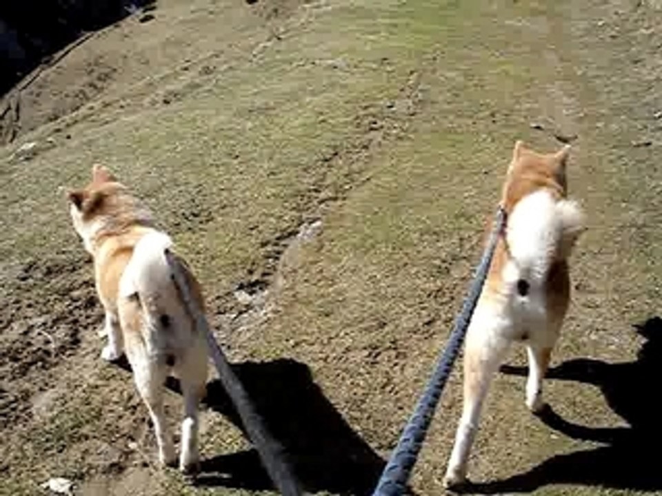 Les samouraïs dans les Pyrénées
