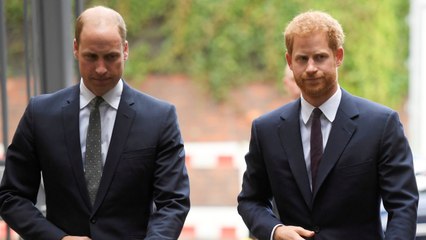 GALA VIDEO - Hommage à Diana : une contrariété de plus pour William et Harry