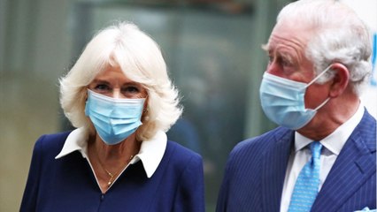 GALA VIDEO - Prince Charles et Camilla : leur fils caché a encore frappé.