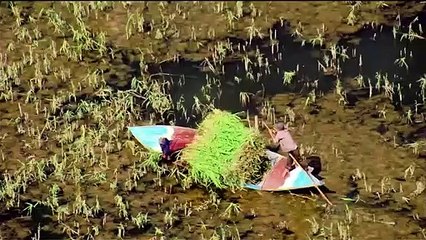 ...كان غير مفهوم ، لكن أنا جدا سعيد الآن با...