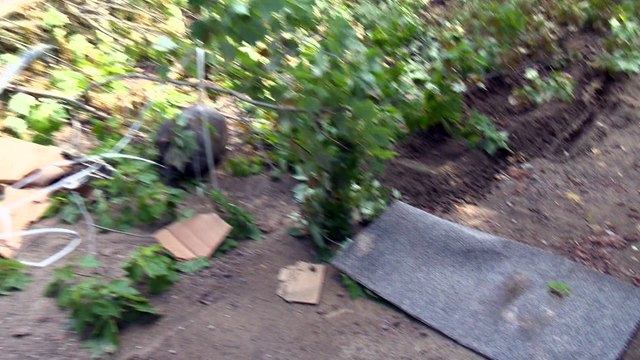 CH 15 Dec TOPO Rapport explosion Petite-Riviere-St-Francois WEB