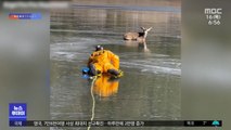 [이슈톡] 살얼음 호수 위 기어가 사슴 구조한 소방관