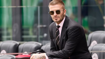 GALA VIDÉO - David Beckham torse nu avec un chien : la vidéo qui va égayer votre journée