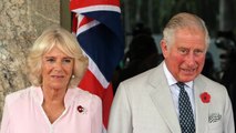 GALA VIDEO - Prince Charles et Camilla : Simon Dorante-Day, ce « fils caché 