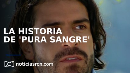 La historia de ‘Pura Sangre’, la producción que reúne intriga, drama, amor y venganza