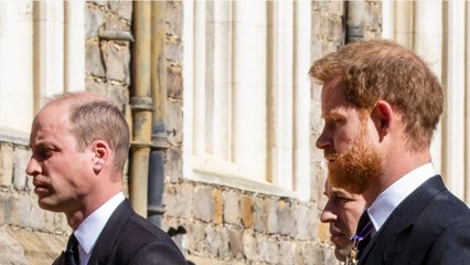GALA VIDEO - Le prince Charles et William toujours méfiants envers Harry : « Plus question d’affabulations "
