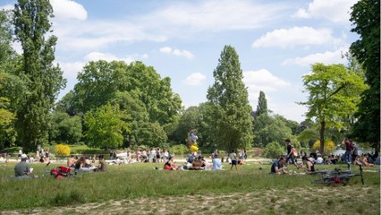 GALA VIDEO - « Défense de rire " : un député proche d’Emmanuel Macron se moque des Verts