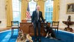 GALA VIDEO - Psychose à la Maison-Blanche : le chien de Jill et Joe Biden a encore mordu !