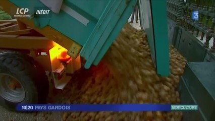 VIDEO - Valérie Trierweiler avait une "volonté de nuire" à François Hollande : cette scène qui ne passe pas