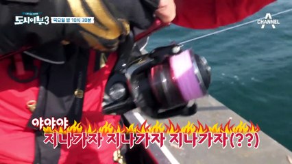 [선공개] 갓수근은 죽지 않아! 풀 파워 저항하는 대물의 정체는? (제발... 참돔 〒▽〒)