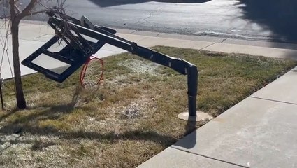 Powerful winds stir up chaos across Colorado