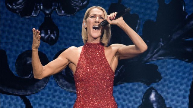 GALA VIDEO - Nouveau chagrin pour Céline Dion : cette mort qui l'attriste