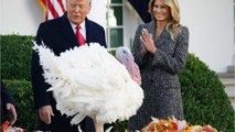 GALA VIDEO - Melania Trump : les enfants de Donald Trump blacklistés du dîner de Thanksgiving à la Maison-Blanche ?