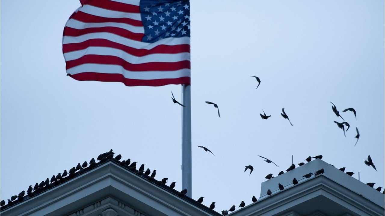GALA VIDEO - Melania Trump vs Ivanka Trump : qui est la plus riche ?