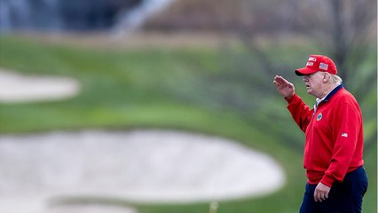 GALA VIDEO - Mégalo, Donald Trump se voit en « lion prêt à massacrer les hyènes qui veulent sa mort "…