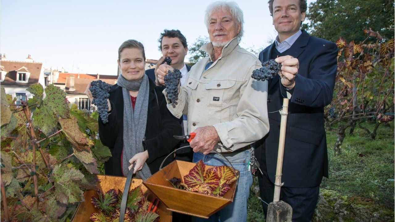 GALA VIDEO - Les 12 coups de midi : Hugues Aufray évoque avec émotion le suicide de son frère