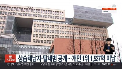 상습체납자·탈세범 공개…개인 1위 1,537억 미납