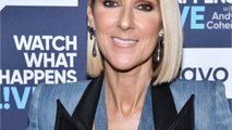 GALA VIDEO - Céline Dion intriguée par Valérie Lemercier et son biopic : “Qu’est-ce que ça veut dire ?”