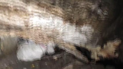 İki evin üzerine devrilen ağaç hasara yol açtı