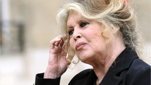 GALA VIDÉO - Brigitte Bardot « traumatisée : ses rares confidences sur son fils Nicolas