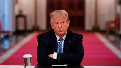 GALA VIDEO - La nièce de Donald Trump enfonce le clou