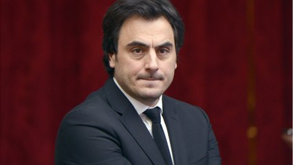 GALA VIDEO - Apolline de Malherbe : qui est son compagnon Harold Hauzy ?