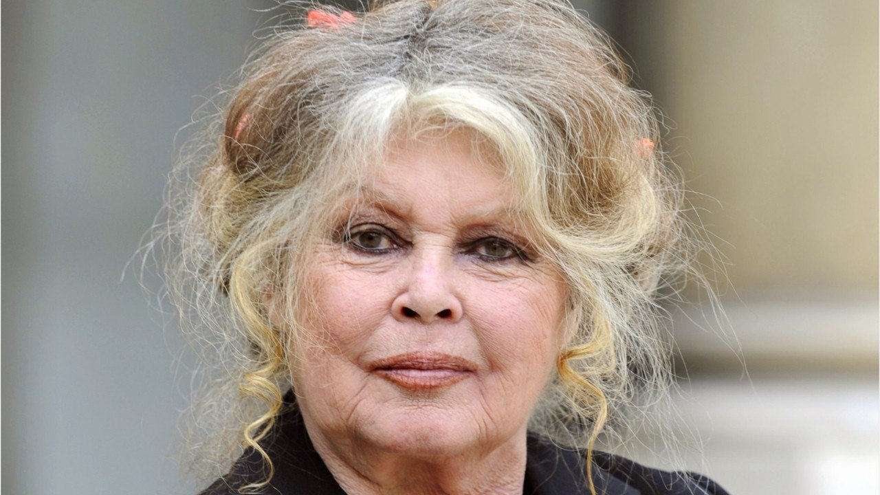 FEMME ACTUELLE - Brigitte Bardot : ses confidences sur ses "contacts difficiles" avec ses deux petites filles