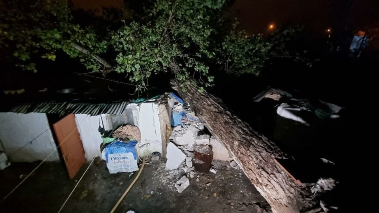 Uyurken hayatlarının şokunu yaşadılar! Ağaç, evin üzerine devrildi