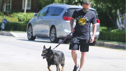 GALA VIDEO - Ben Affleck et Ana de Armas officialisent enfin leur relation !