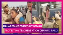 Punjab Police Seen Forcefully Detaining Protesting Teachers At CM Charanjit Singh Channi's Rally