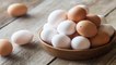 देसी अंडे और सफेद अंडे में क्या है अंतर।देसी और सफेद अंडे में कौन ज्यादा फायदेमंद। Expert Advice