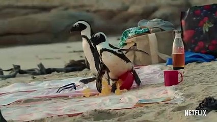 Penguin Town Saison 1 - Trailer (EN)