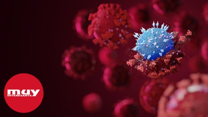 La Organización Mundial de la Salud advierte sobre Ómicron