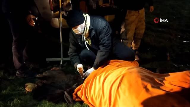 Veteriner hekim ve vatandaşların duyarlı davranışı insanlık ölmemiş dedirtti