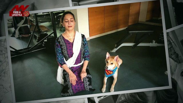 Madhuri की तरह करें सर्दियों में अपने पेट्स की देखभाल |Madhuri Dixit|Madhuri Dixit Animal Lover|