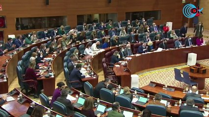 El PP lleva a la Asamblea el ‘caso Playbol’: "¿Qué  pasaría si donde pone Sánchez pusiera Ayuso?"