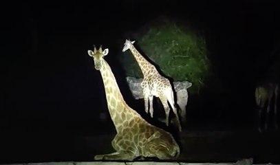 เรื่องพลบค่ำ ช่วงที่ 2 วันพฤหัสบดีที่ 16 ธ.ค.64