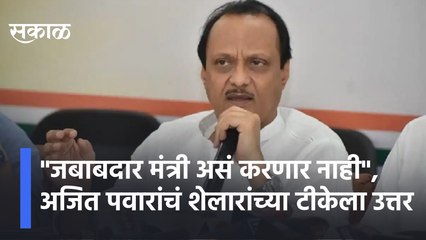 Pawar on Shelar's Criticism| "जबाबदार मंत्री असं करणार नाही", अजित पवारांचं शेलारांच्या टीकेला उत्तर