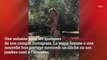 GALA VIDEO – Emma Smet : jambes nues et bronzées, elle fait monter la température sur Instagram
