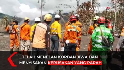 Kucing Putih Ditemukan di Rumah Rusak Terdampak Bencana Semeru Dalam Keadaan Hidup