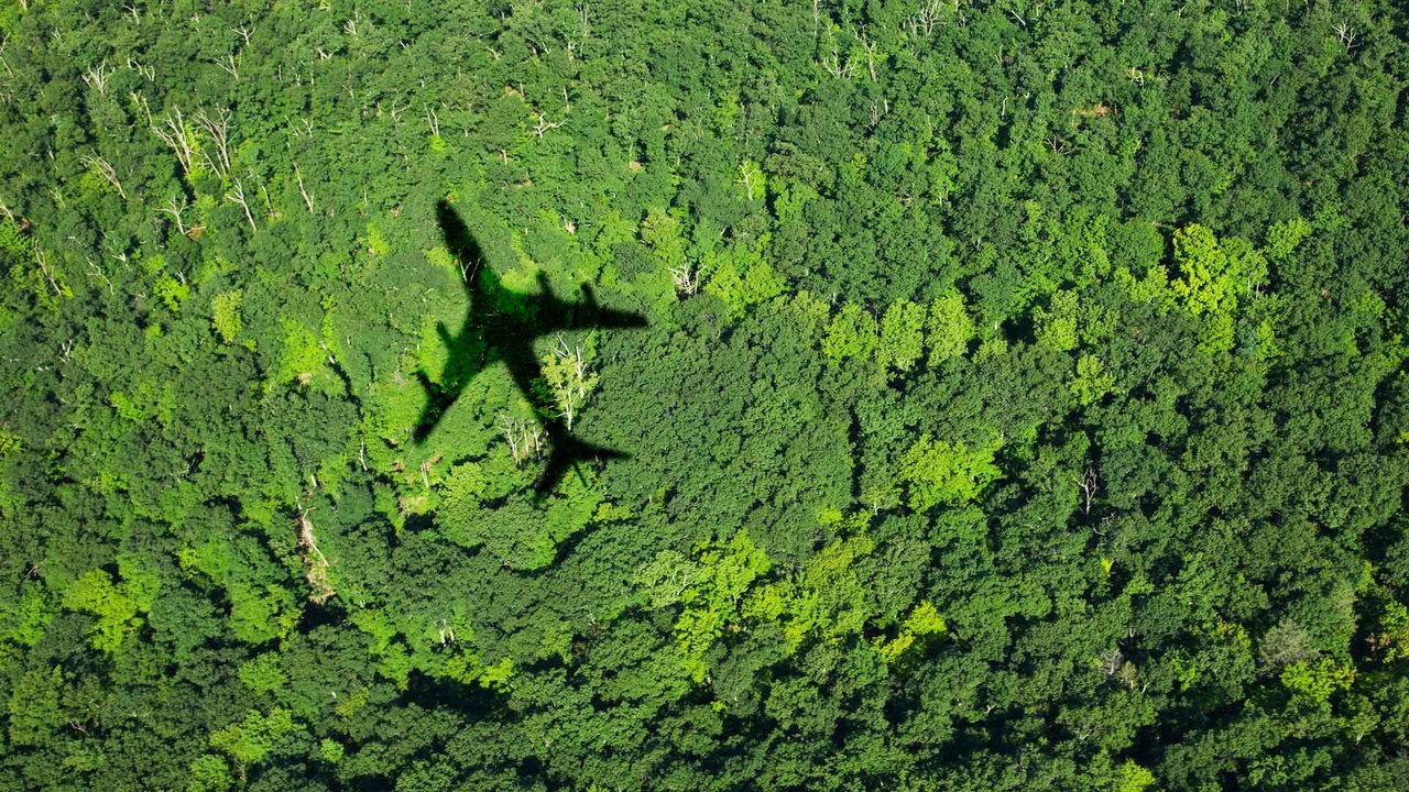 Nachhaltiger reisen: So könnt ihr eure Flugreise umweltfreundlicher gestalten