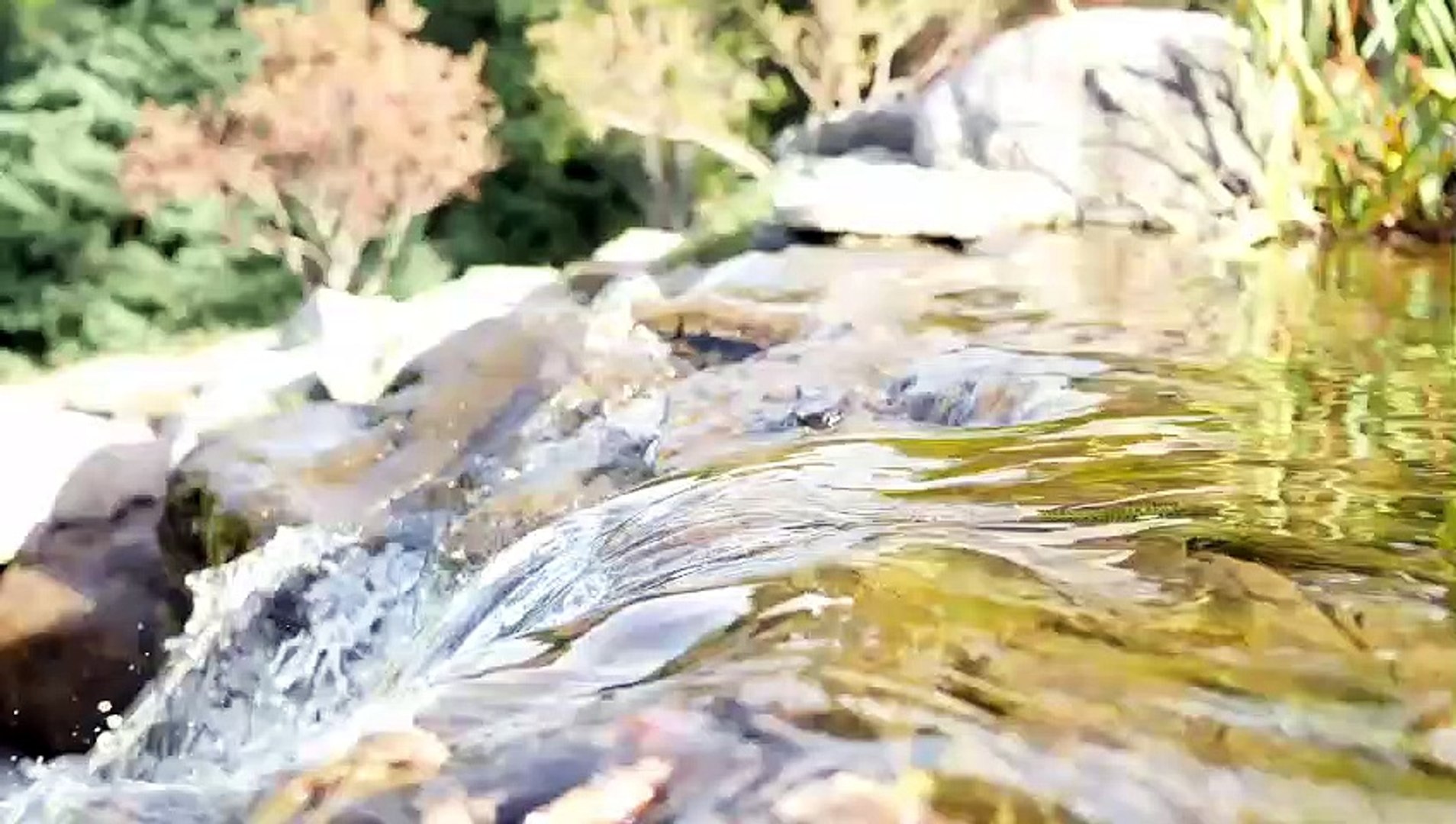 ⁣river sounds - nature sounds