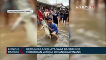 Viral, Kemunculan Buaya Saat Banjir Rob Hebohkan Warga di Pangkalpinang