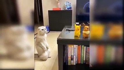 Baby_Cats_-_Cute_and_Funny_Cat_Videos_Compilation_#14_|_Aww_Animals(360p)